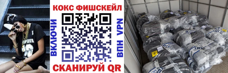 Купить закладки  Шилка  COCAIN 99% 
